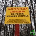 Захоронение животных запрещено