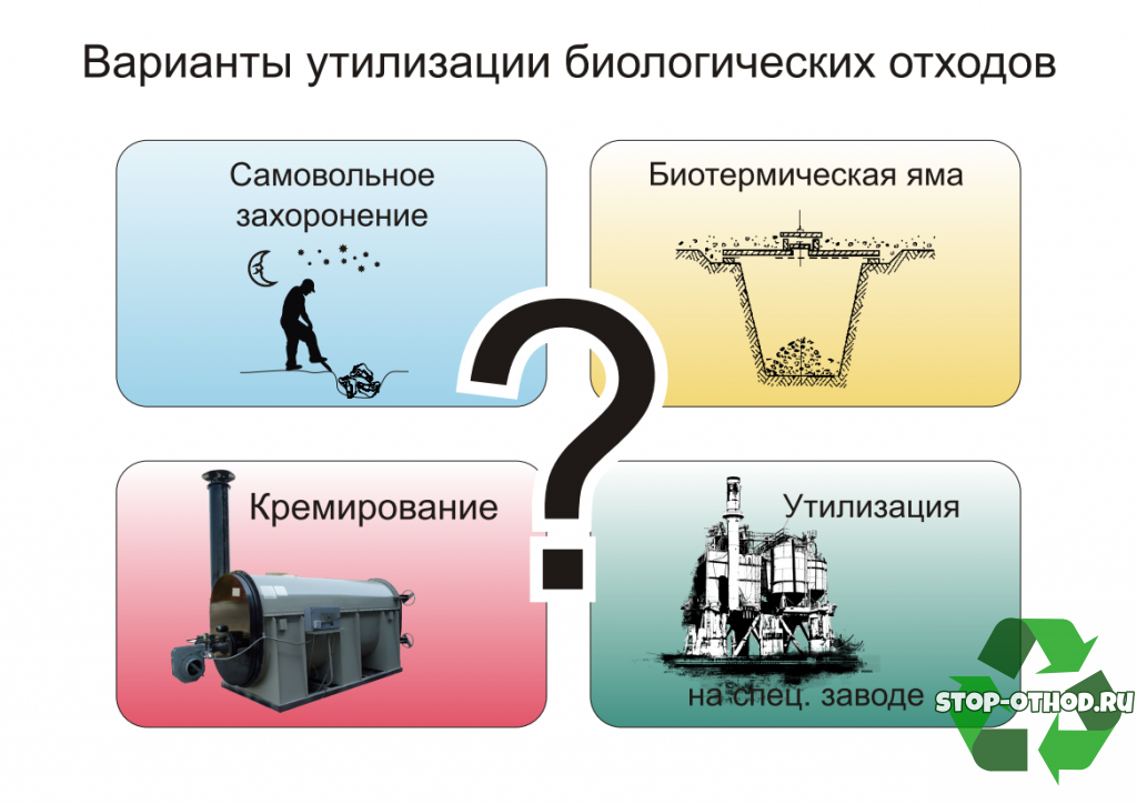 Биологические отходы фото