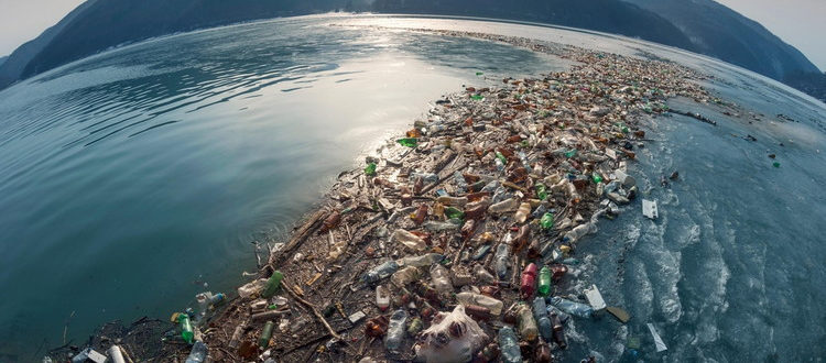 загрязнение мирового океана как глобальная экологическая проблема