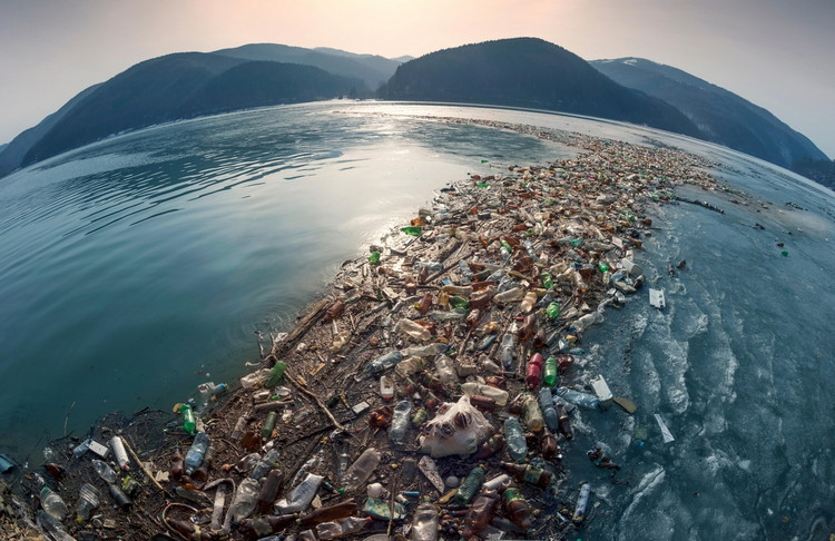 загрязнение мирового океана как глобальная экологическая проблема