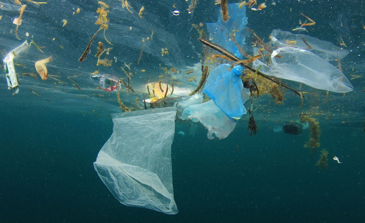 Чем опасно попадание отходов в моря и океаны - глобальная экологическая проблема загрязнения