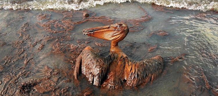 нефть в водах океана