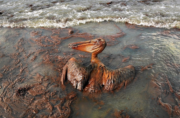 нефть в водах океана