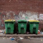Государственное субсидирование утилизации: как помогает экологиям и экономике работать вместе